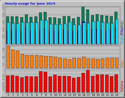 Hourly usage for June 2024