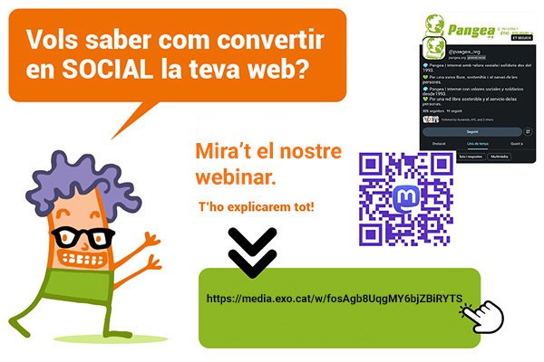 Webinar Web Social